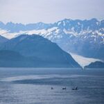 Seward Wildlife Explorer 60 minute Heli Flightseeing - Who Is This Tour Best For?