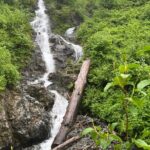 Shared Tour in Sitka with Meal - The Lunch: Local Flavors on Your Plate