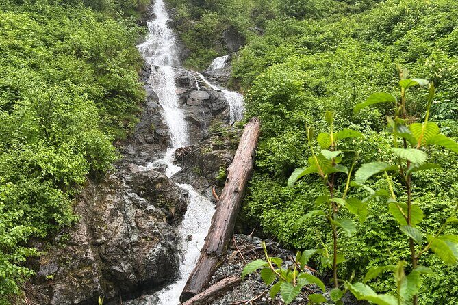 Shared Tour in Sitka with Meal - The Lunch: Local Flavors on Your Plate