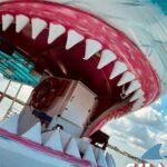 Shark Boat Destin Daytime Dolphin Watch and Sunset Cruise - FAQs