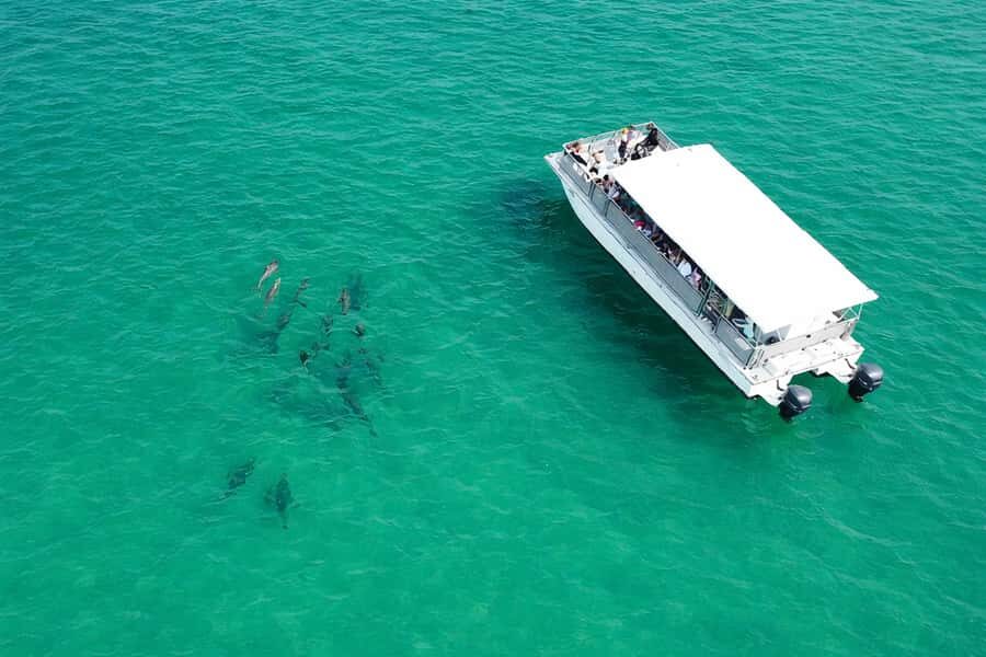 Shell Island Nature & Marine Viewing Tour - Key Points