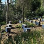 Siberian Husky Kennel Tour in Fairbanks Alaska - Who Should Consider This Tour?