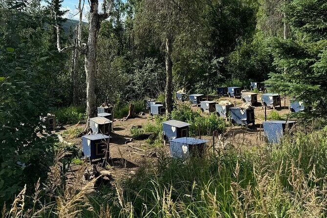 Siberian Husky Kennel Tour in Fairbanks Alaska - Who Should Consider This Tour?