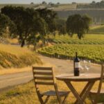 Sideways Movie Wine Trail: A Self-Guided Driving Tour - A Deep Dive into the Sideways Movie Wine Trail Experience