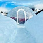 Silvaras Winter Igloo Wine Experience - The Itinerary and What to Expect