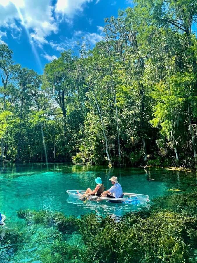 Silver Springs: Clear Kayak Eco-Tour with Manatee Viewing - The Itinerary: What You Can Expect