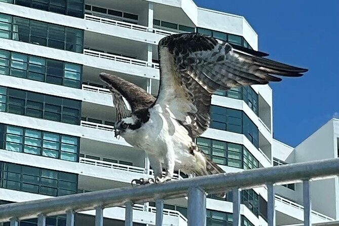 Single Kayak Rentals at The Bay - The Scenic Route and What to Expect