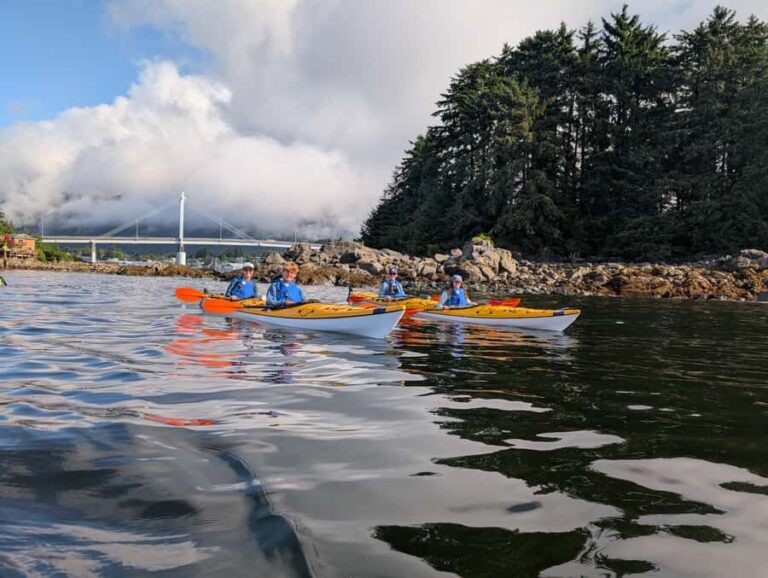 Sitka, Alaska: Island Discovery Kayak Tour - Who Should Book This Tour?