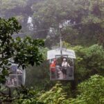 Sky Adventures Combo: Walk, Tram & Zipline from Monteverde - The Sum Up