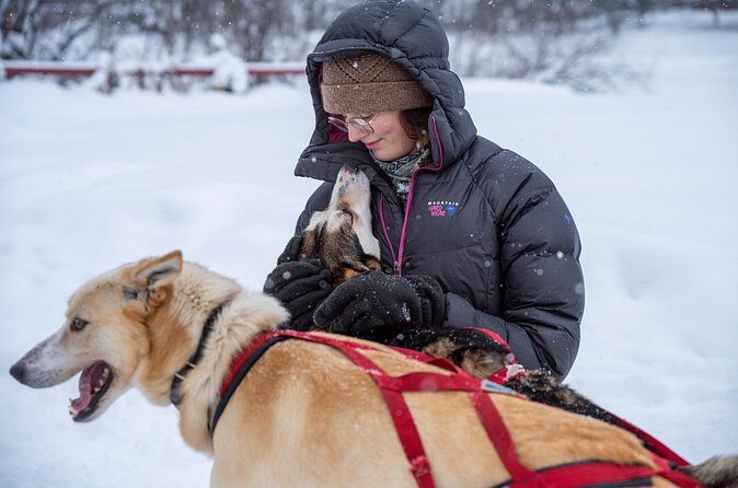 Sled Dog Sampler Ride in Fairbanks - Frequently Asked Questions