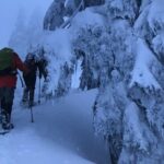 Slow down and enjoy winter on a private snowshoe tour. - The Itinerary: What Makes Each Stop Special