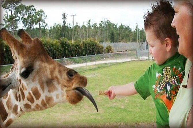 Small Group Fort Lauderdale&Palm Beach Day Tour from Miami FL - What the Tour Includes and Excludes