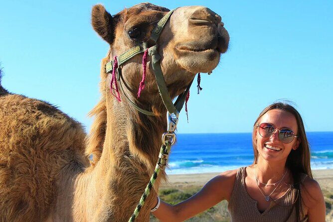 Small Group Private Camel Ride and Beach Adventure in Migrino - Transportation and Practical Details