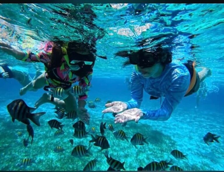 Snorkel in Cozumel and visit El Cielo - What Makes This Tour Special?