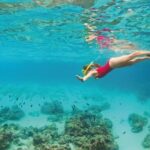 Snorkel Tour in Cozumel - The Practicalities: What You Need to Know