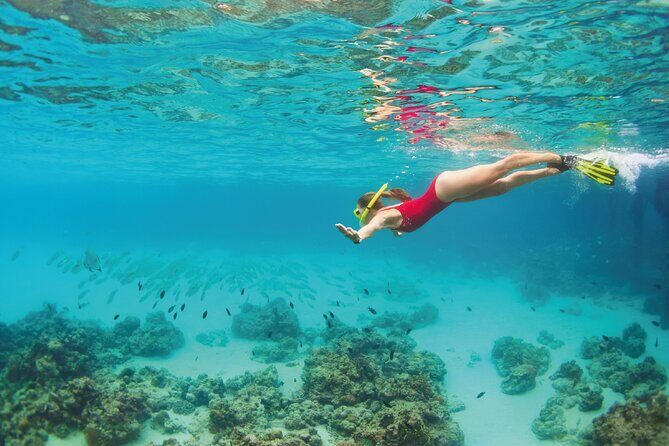 Snorkel Tour in Cozumel - The Practicalities: What You Need to Know