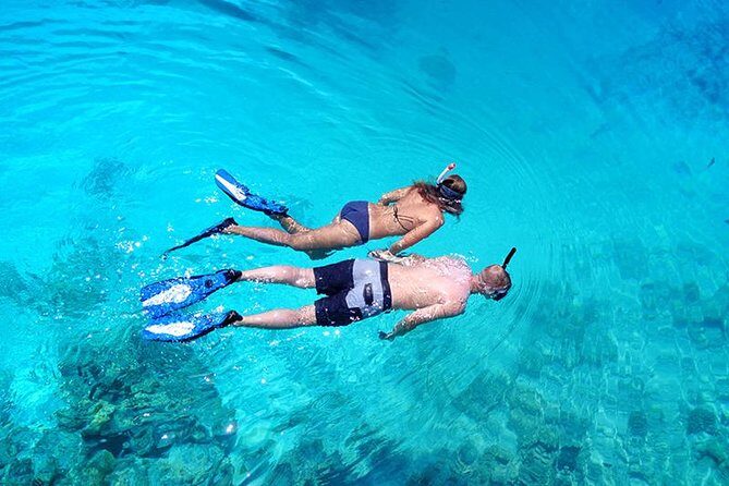 Snorkel Tour - San Jose del Cabo - An In-Depth Look at the Snorkel Tour Experience
