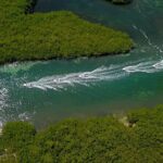 Snorkeling and Speed Boat Tour - Value and Practical Tips