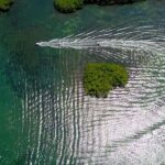 SpeeBoat Tour Whit Snorkeling In Cancún- Drive Your Own Boat - The Sum Up: Is It Worth It?