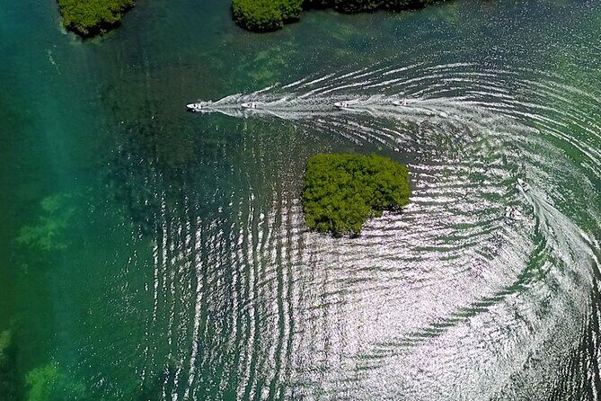SpeeBoat Tour Whit Snorkeling In Cancún- Drive Your Own Boat - The Sum Up: Is It Worth It?