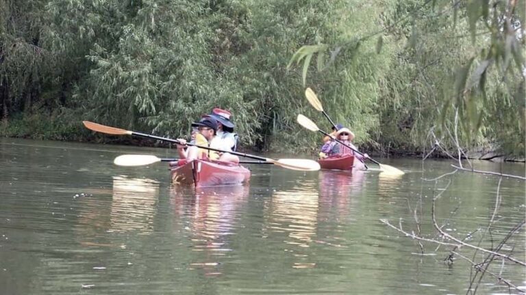 Spooky Swamp | Evening Paddle on Lake Charlotte(Sunset Tour) - An In-Depth Look at the Experience