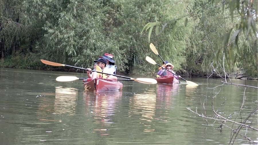 Spooky Swamp | Evening Paddle on Lake Charlotte(Sunset Tour) - An In-Depth Look at the Experience