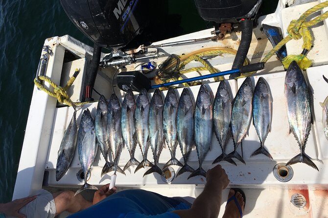 sport fishing - The Sum Up