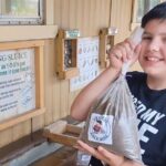 Springfield Crystal Cave Bronze Adventure Tour and Dino Trail - Who Should Consider This Tour?