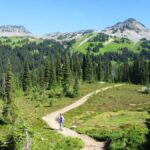 Squamish/Whistler: Garibaldi Park Panorama Ridge Guided Hike - Who Should Consider This Hike?