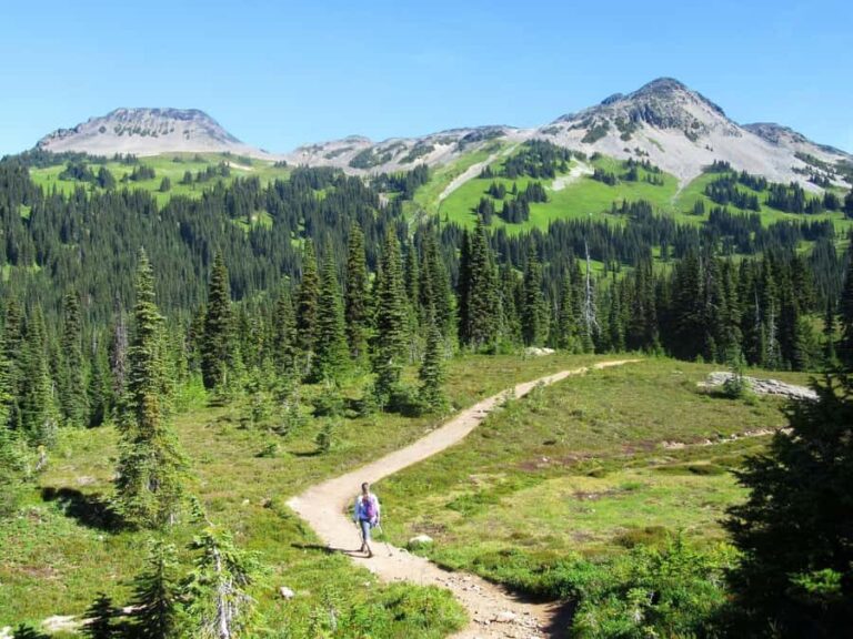 Squamish/Whistler: Garibaldi Park Panorama Ridge Guided Hike - Who Should Consider This Hike?
