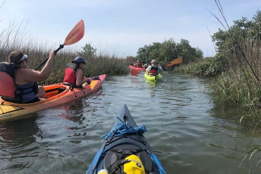 St. Augustine: Salt Marsh Kayak Tour - A Detailed Look at the Salt Marsh Kayak Experience
