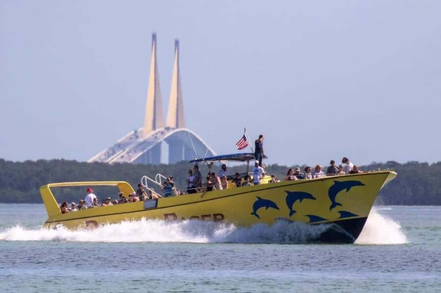 St. Pete Beach: Dolphin Racer Sightseeing Cruise - A Deep Dive into the Dolphin Racer Experience
