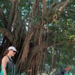 St Pete Ebike Tour with Lunch - Detailed Itinerary