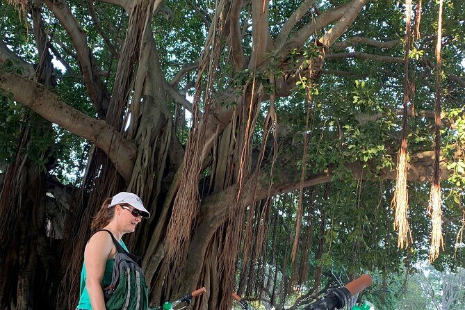 St Pete Ebike Tour with Lunch - Detailed Itinerary