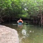 St. Petersburg: Clear Kayak Rental at Clam Bayou Nature Park - Discovering Clam Bayou: A Hands-On Guide