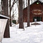 Sugar Shack (Feb to May) Maple Syrup Private Day Tour with lunch from Montreal - Final Thoughts: Is it Worth It?