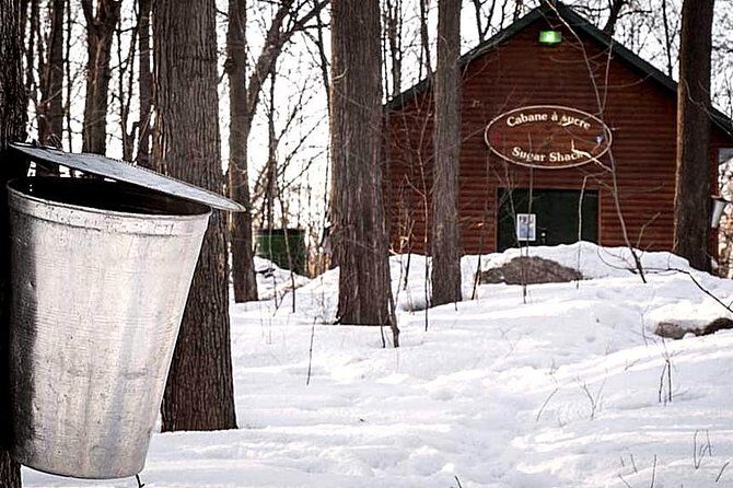 Sugar Shack (Feb to May) Maple Syrup Private Day Tour with lunch from Montreal - Final Thoughts: Is it Worth It?
