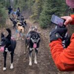Summer Dog Sledding Adventure in Willow, Alaska - What We Love About This Tour