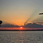 Sunny Lady Dolphin and Sunset Cruises Orange Beach Alabama - Why This Tour Works Well for Travelers