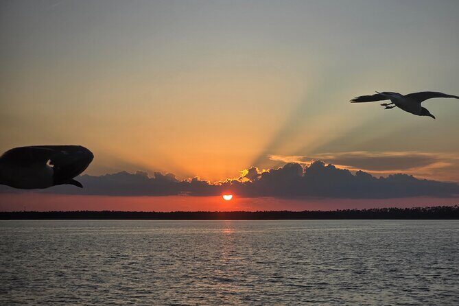 Sunny Lady Dolphin and Sunset Cruises Orange Beach Alabama - Why This Tour Works Well for Travelers