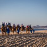 Sunset beach Camel ride with Mexican Buffet and Tequila Tasting - Frequently Asked Questions