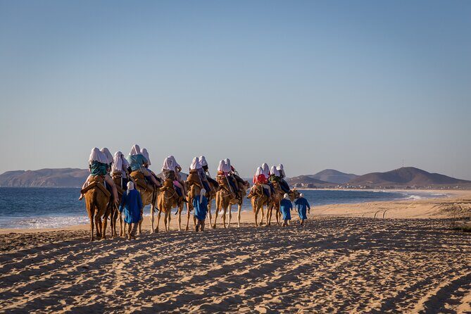 Sunset beach Camel ride with Mexican Buffet and Tequila Tasting - Frequently Asked Questions