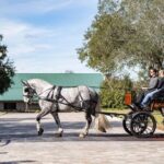 Sunset Carriage Ride and Dinner - FAQs