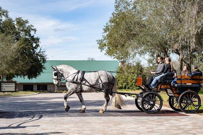 Sunset Carriage Ride and Dinner - FAQs