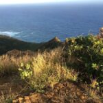 Sunset Crater Hike with Pickup and Drop-off - Who Should Consider This Tour?