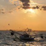 Sunset Cruise Fort Lauderdale  Premium Experience-Skyline Views - Why This Experience Represents Good Value