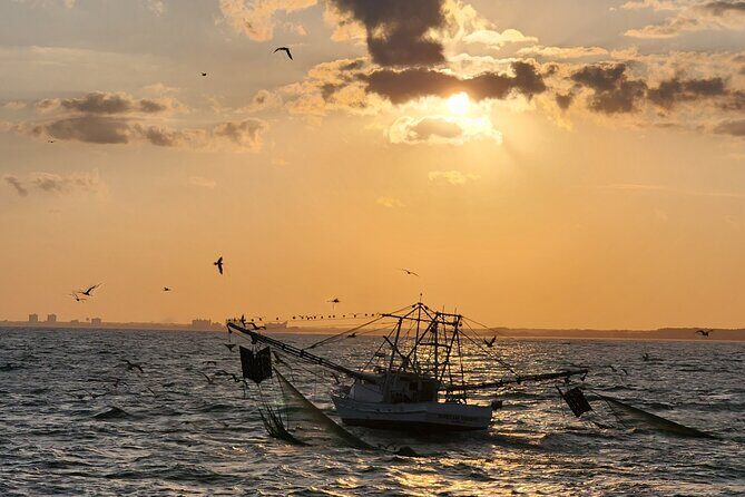 Sunset Cruise Fort Lauderdale  Premium Experience-Skyline Views - Why This Experience Represents Good Value
