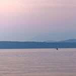 Sunset on the Salish Sea Tour in Campbell River - Final Thoughts: Is It Worth It?