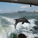 Sunset Tour - Private Party up to 6 - The Sum Up