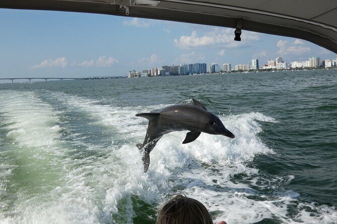 Sunset Tour - Private Party up to 6 - The Sum Up